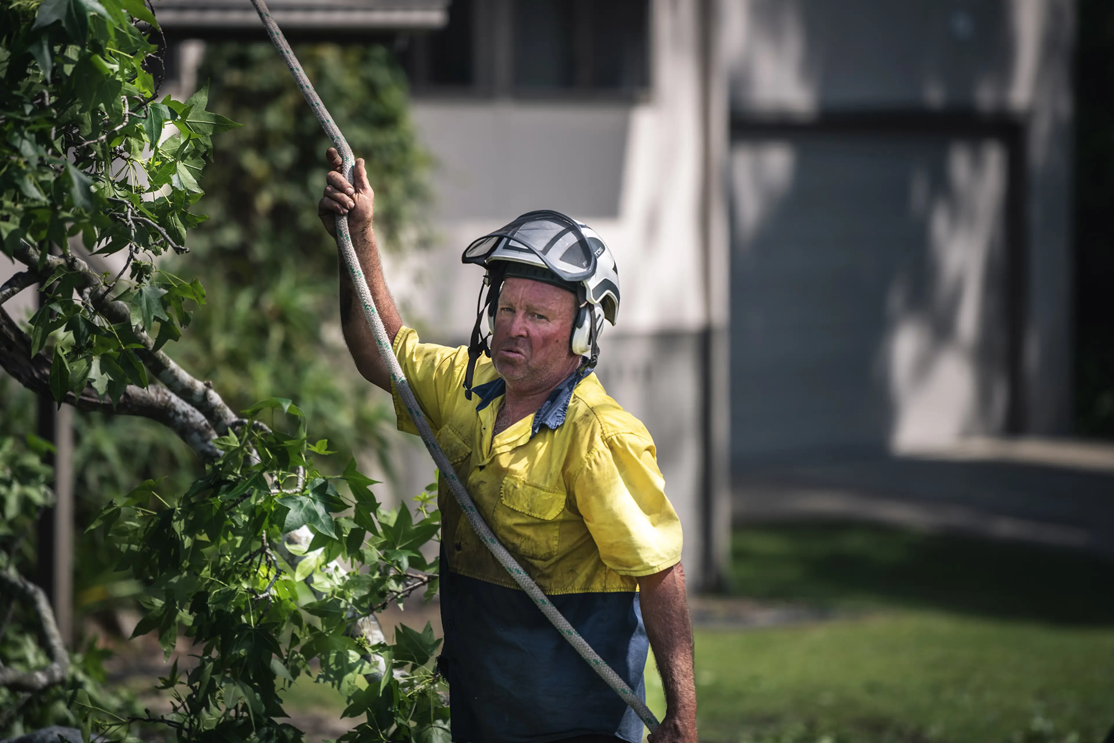 Full tree care, right across Ulladulla