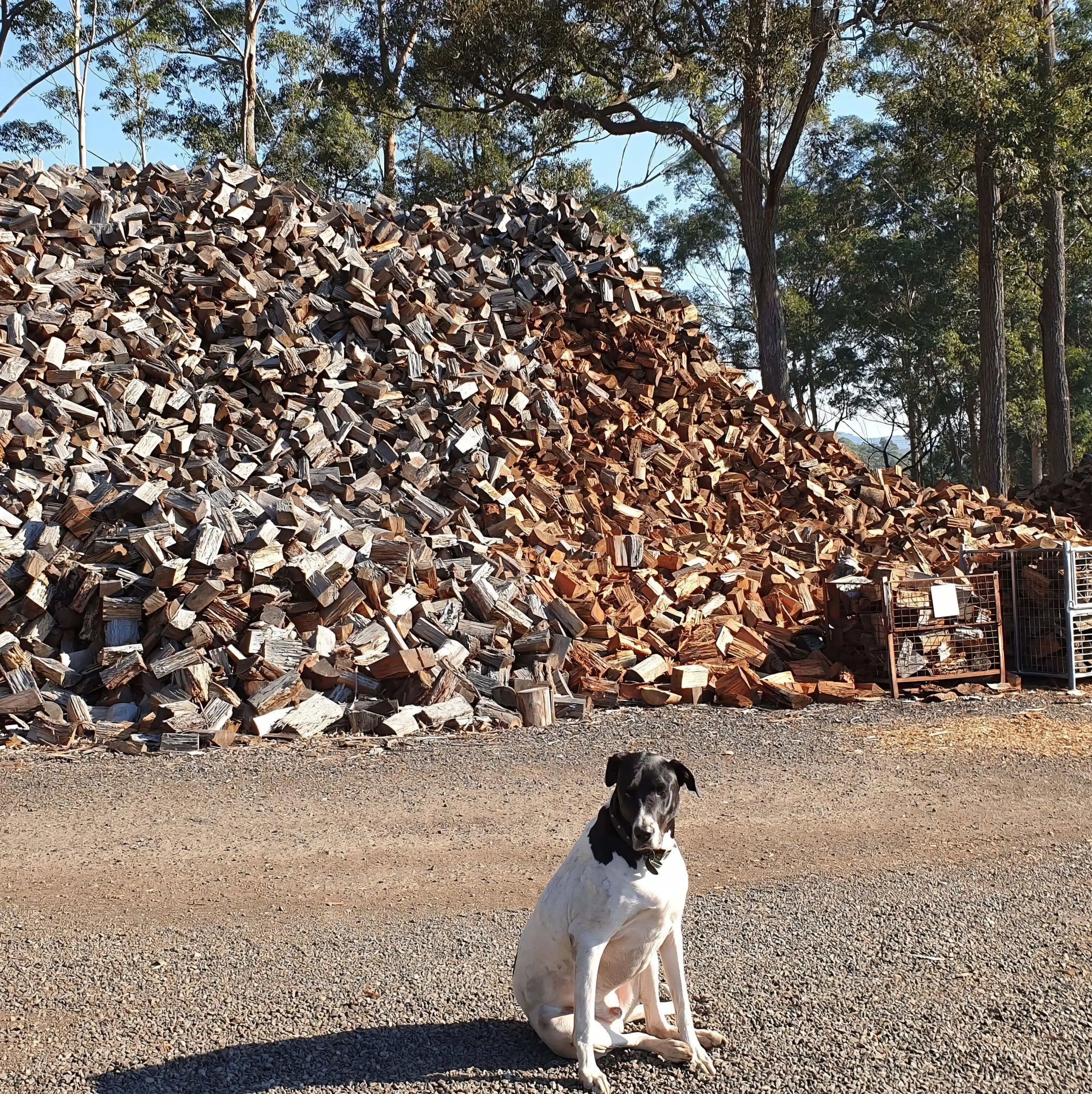 Two kinds of firewood for every job
