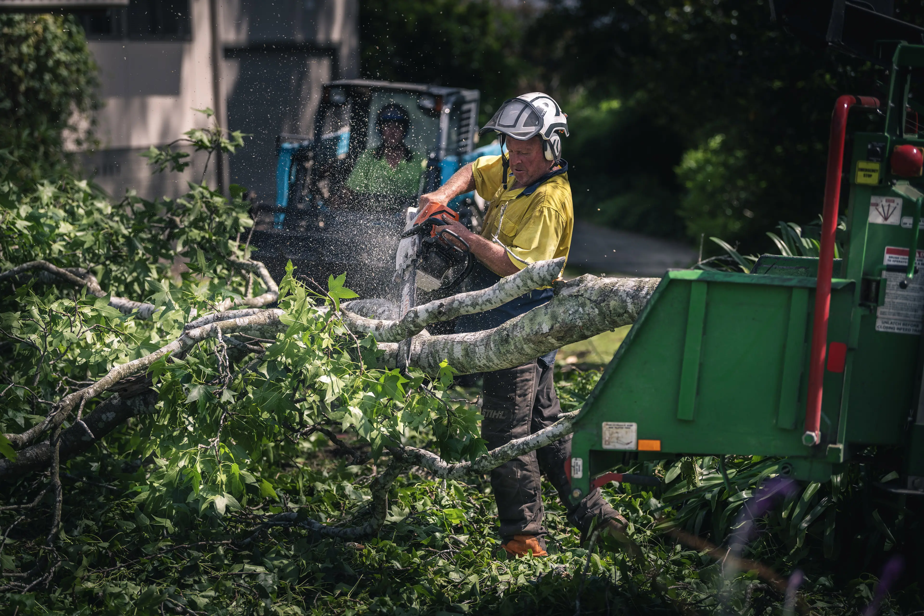 Pruning that keeps your trees healthy and your yard safe