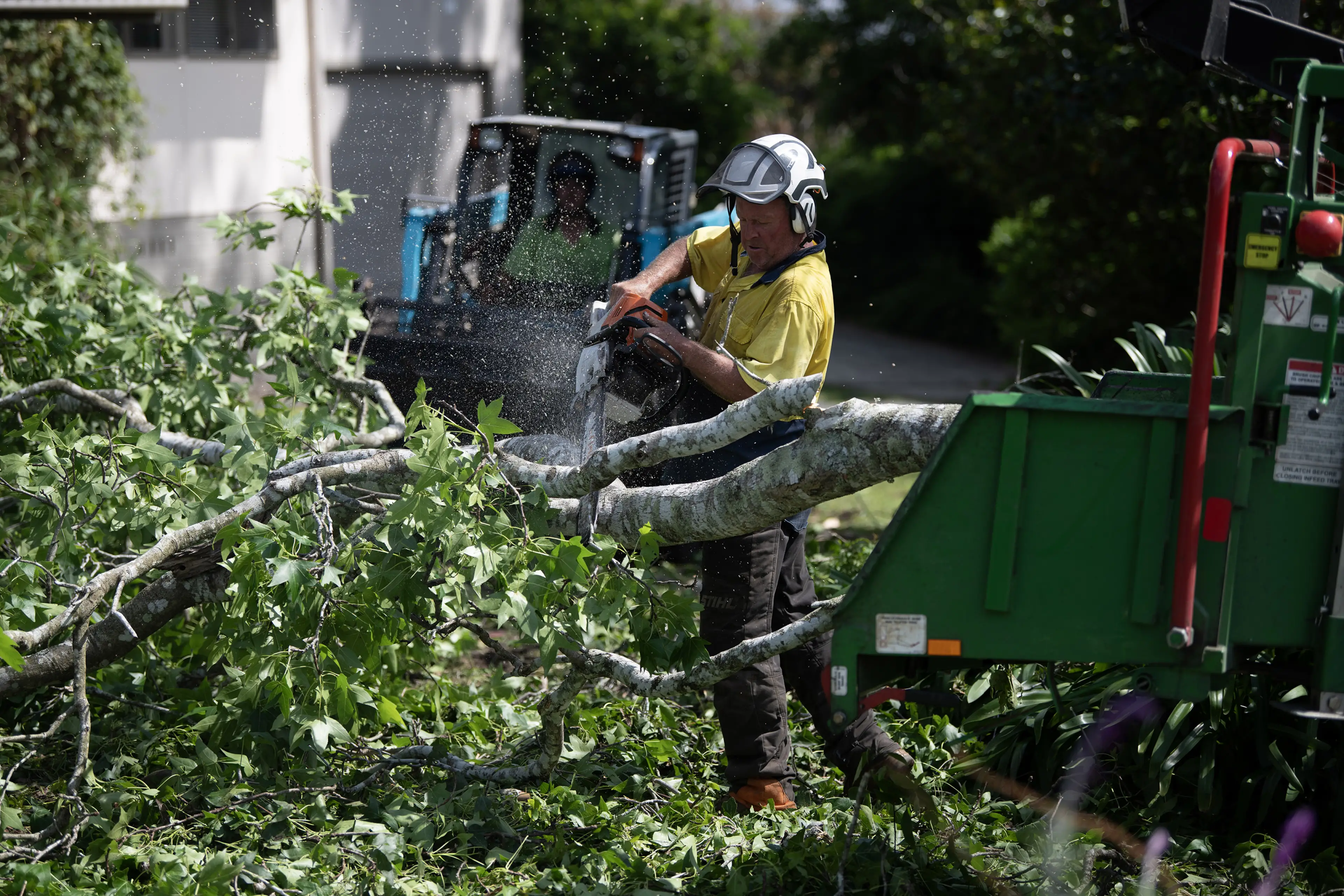 We turn your tree waste into garden gold